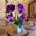 Lejlighed Apartamentai Renata Druskininkai