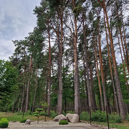 Apartamentai Renata Lejlighed Druskininkai