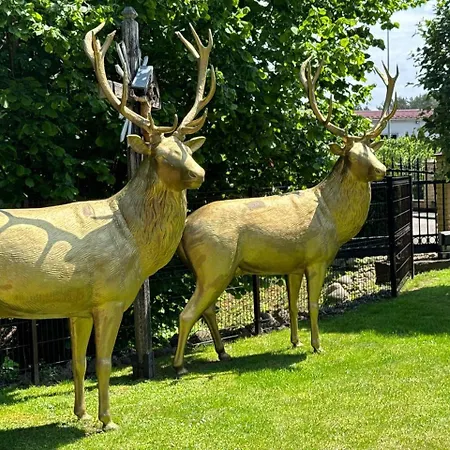 Apartamentai Renata *