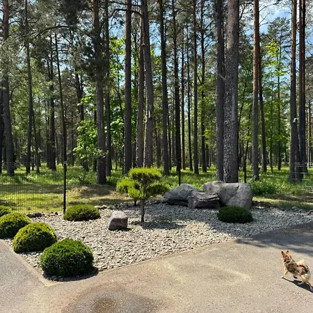 Apartamentai Renata