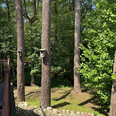 Apartamentai Renata Druskininkai