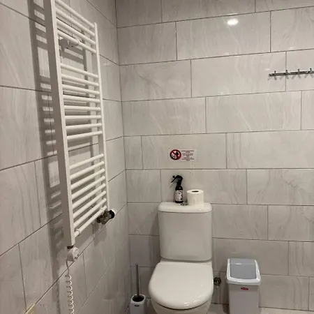 Apartamentai Renata 公寓 德拉肯恩凯