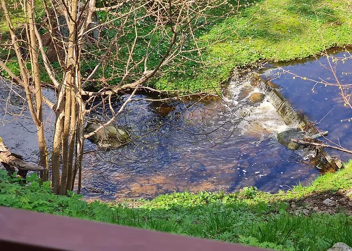 Apartamentai Renata Apartament Druskieniki