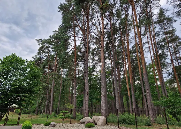 Apartamentai Renata Apartment Druskininkai