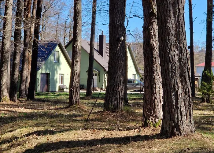 Apartamentai Renata Apartament Druskieniki