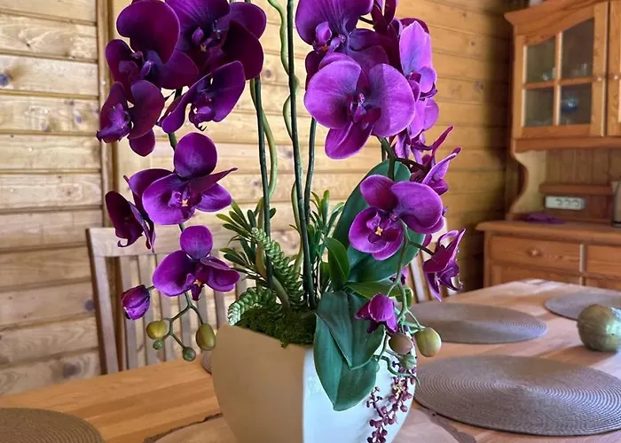 Apartment Apartamentai Renata Druskininkai