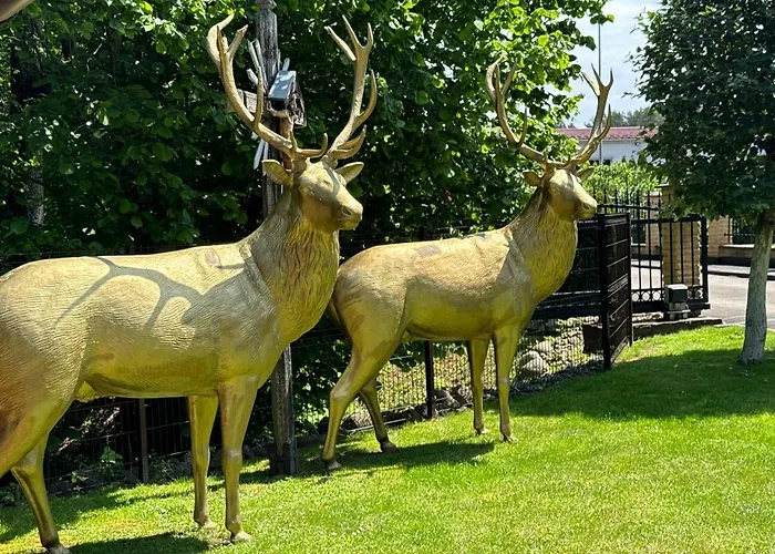 Apartamentai Renata *