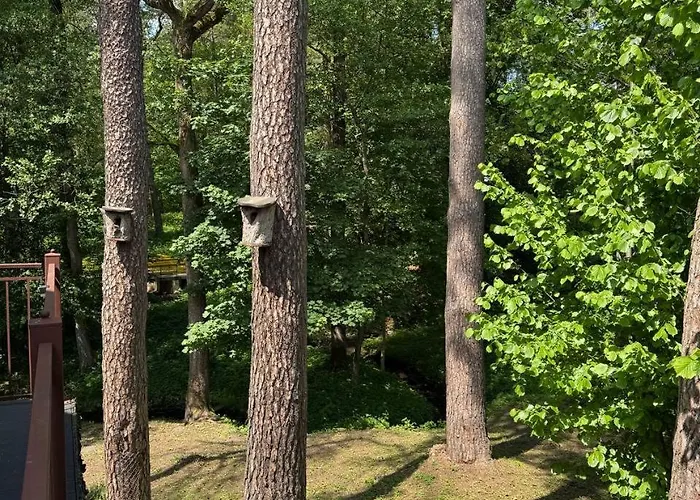 Apartamentai Renata Druskieniki