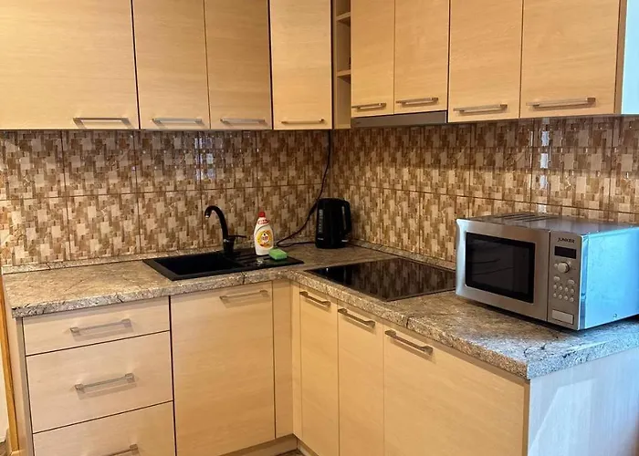 Apartment Apartamentai Renata Druskininkai